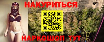 сатива Гатчина