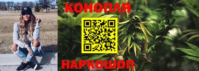 сатива Гатчина