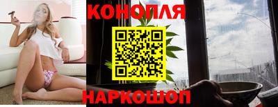 сатива Гатчина