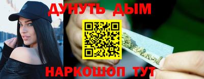 сатива Гатчина
