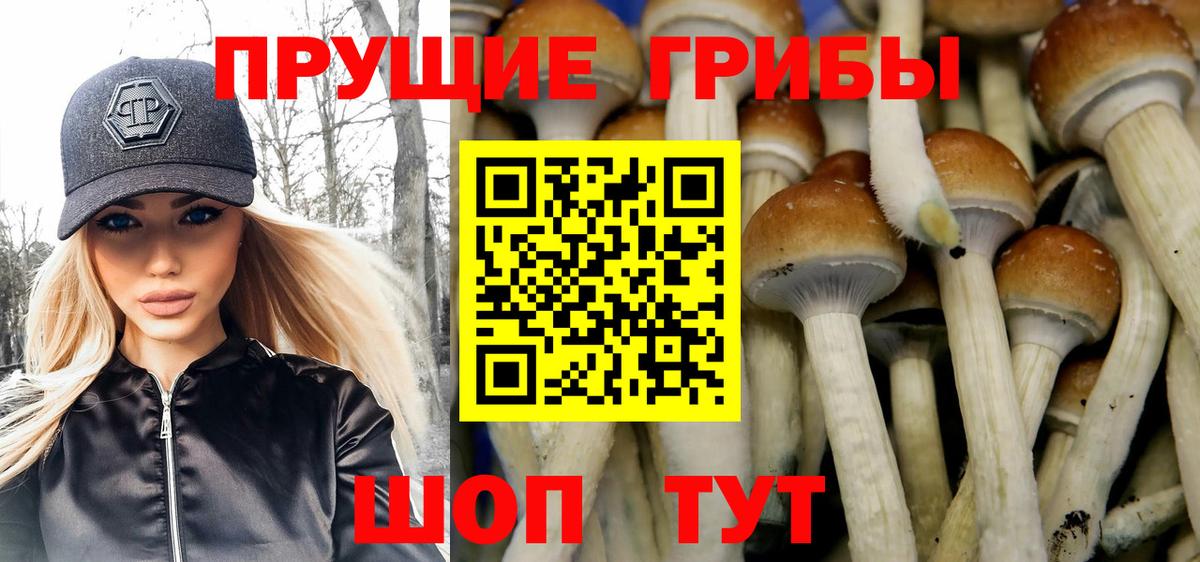 Нижнекамск  Галлюциногенные грибы MAGIC MUSHROOMS  Вход с VPN  Псилоцибиновые грибы GOLDEN TEACHER 