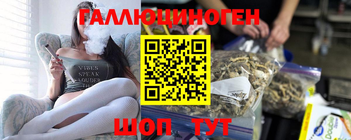 Галлюциногенные грибы мухоморы Нижнекамск